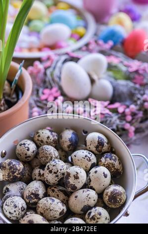 Different eggs for Easter Sunday. Quail, chicken and chocolate colored eggs Stock Photo