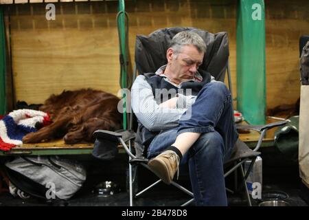 Birmingham, UK. 6th Mar, 2020. A man & his Irish Setter have a snooze on the second day of Crufts 2020 Credit: ️Jon Freeman/Alamy Live News Stock Photo