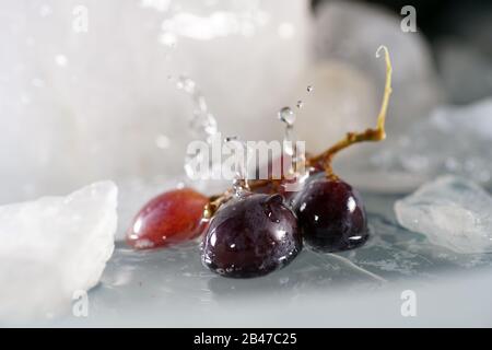Bunches of grapes in ice water with colorful flashes photographed in studio Stock Photo