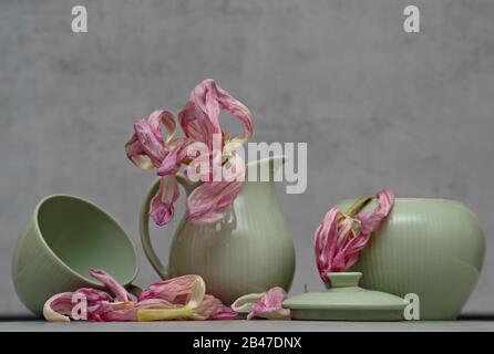 Pink tulip petals with green dish on a table with grey background Stock Photo