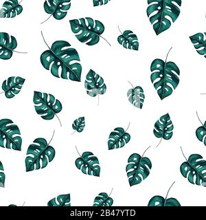 Frame of tropical monstera leaves on the white seamless background Stock Photo