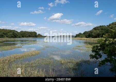 Netwown River, Isle of Wight, UK Stock Photo