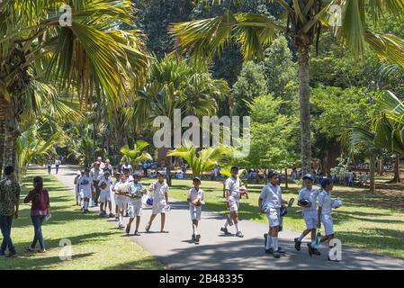 Kandy, Sri Lanka: 03/19/2019: Peradeniya Botanical Gardens School children in uniform walking in the gardens. Stock Photo