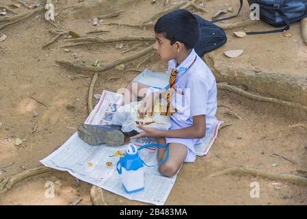 Kandy, Sri Lanka: 03/19/2019: Peradeniya Botanical Gardens small school boy seated eating traditional lunch of rice Stock Photo