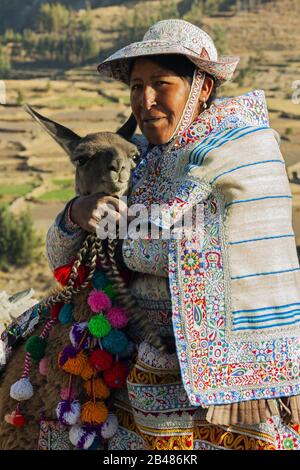 AREQUIPA, Peru, AUGUST 28 , 2019. Portrait of a peruvian woman wearing traditional custom and an alpaca in archaeological site of colca canyon Stock Photo