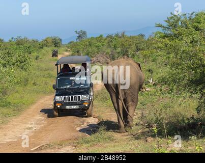 Udawalawe, Sri Lanka: 03/24/2019:Tourists in a safari vehicle viewing elephant in the National Park