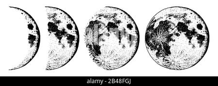 Moon phases planets in solar system. Astrology or astronomical galaxy space. Orbit or circle. Engraved hand drawn in old sketch, vintage style for Stock Vector