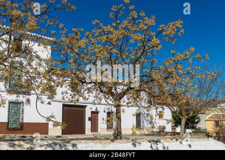 Traditional Spanish Rural House in El Contador, A Small town In Andalusia Spain Stock Photo