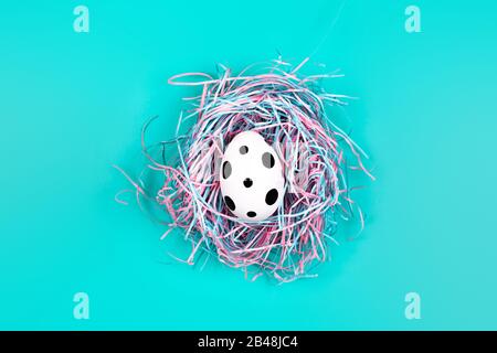 Graphic polka dot hand-painted egg in decorative nest on blue pastel background. Easter concept. Stock Photo