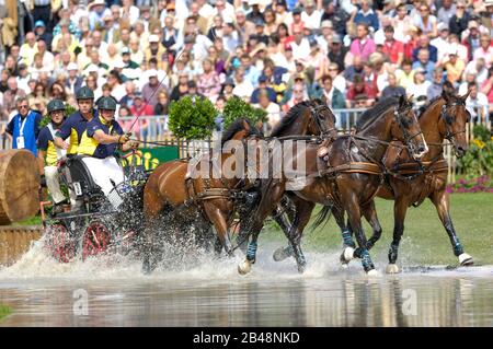 Robert Edwards (AUS), World Equestrian Games, Aachen, 31 August 2006, Driving Marathon Stock Photo