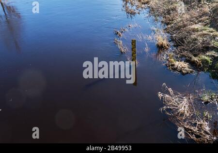 Gauge for measuring the water level in the river Ise near Gifhorn, Northern Germany, in the moorland near the heath Stock Photo