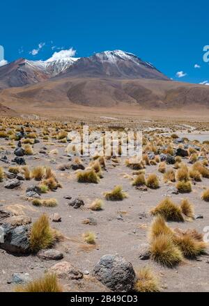 Mountain landscape in the Altiplano of southern Bolivia. Stock Photo