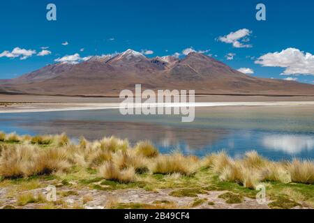 Laguna Canapa in the Andean Altiplano of southern Bolivia. Stock Photo
