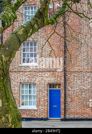 A 3 story red brick house with a blue door and a tree in front Stock Photo