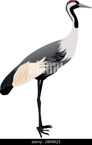 Illustration of shadoof, with white background vector Stock Vector