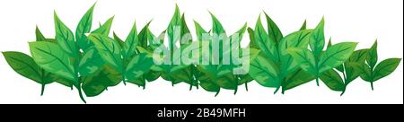 Illustration of tea leafs, with white background vector Stock Vector