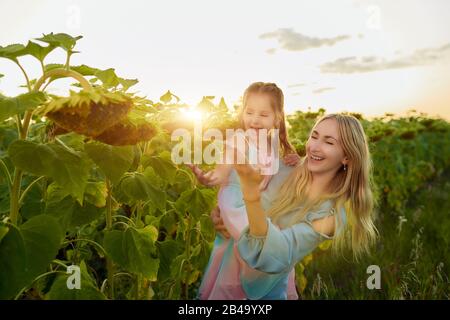 Cheerful young mother holds her charming daughter in her arms and shows her a sunflower while walking across the field on a sunny summer evening. Conc Stock Photo