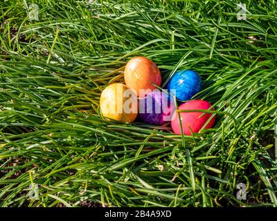 Easter eggs in the grass in spring Stock Photo