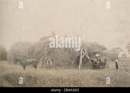 Antique 1891 photograph, “scene on farm of Mr. Vanderbilt on Staten Island, New York.” The family is likely linked to American business magnate Cornelius Vanderbilt (1794-1877). SOURCE: ORIGINAL PHOTOGRAPH Stock Photo