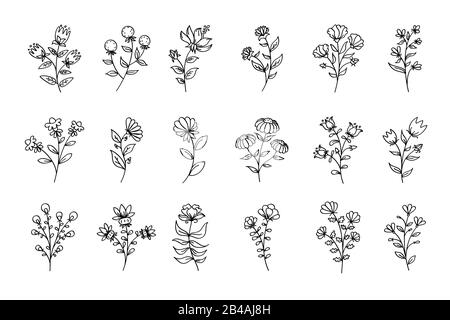 Set of flowers, black line art flowers, outline floral illustrations, flowers drawings, line drawing, artistic stylized floral set Stock Photo