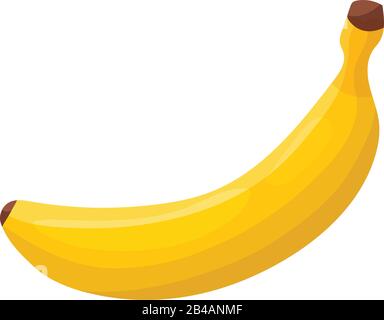 fresh banana on white background - vector Stock Vector