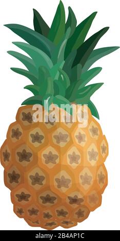 fresh pineapple on white background - vector Stock Vector