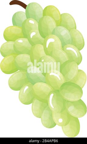 fresh grapes on white background - vector Stock Vector