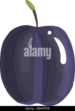 fresh plum on white background - vector Stock Vector