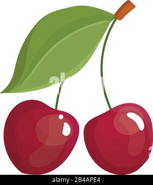 fresh two pieces of cherry on white background - vector Stock Vector