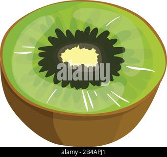 fresh slice kiwi on white background - vector Stock Vector