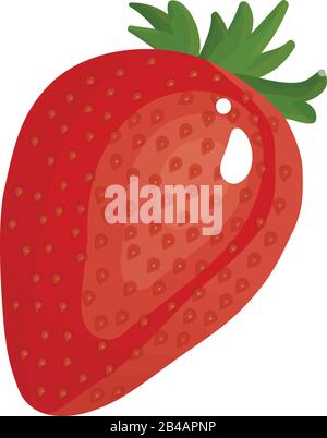 fresh strawberry on white background - vector Stock Vector