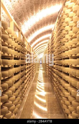 France, Jura, Les Rousses, fort des Rousses (Juraflore), ripening cellar for the counties installed in a former military fort and housing 140,000 Comte cheese Stock Photo