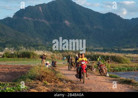 Laos, Phongsaly province, around Ou Tai town, coming back from the fileds Stock Photo