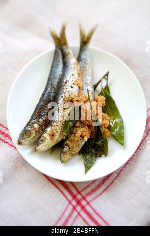 Plancha cooking, sardines with harissa Stock Photo