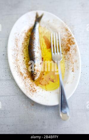 Plancha cooking, sardines with harissa Stock Photo