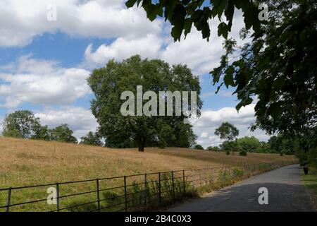 Heaton Park in North Manchester is Europe's largest municipal park. Home of Grade I Listed Heaton Hall, an 18 hole golf course, lake and animal farm. Stock Photo