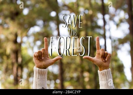 Save the forest text message with human hands and green outdor nature wood in background - earth's day and care of the planet concept with woman care about it Stock Photo