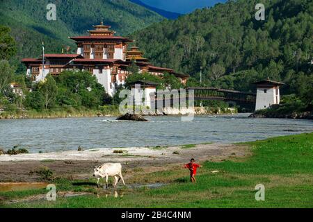 Punakha Dzong Monastery, Bhutan Himalayan Mountains Built originally in 1300's. Sacred site for Bhutanese people on Phochu and Mochu Rivers, Blue-gree Stock Photo