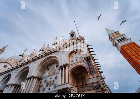 Detail of the bell tower Campanile di San Marco and the cathedral Cattedrale of St. Mark in Venice and flying seagulls. Venice, Italy. Stock Photo