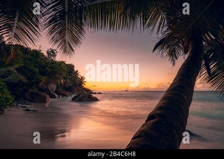 Beautiful romantic sunset sundown colorful sky on Seychelles paradise island. Dream white sand beach and palmtree in the front. Stock Photo