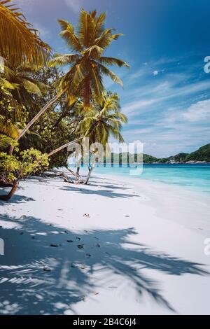 Vacation in faraway place. Paradise tropical beach with white sand and palm trees. Long distance travel tourism getaway concept.