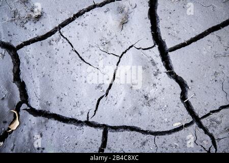 Cracked earth. Drought. Dry soil. Lack of water Stock Photo