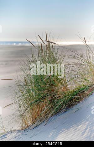 Sandy beach with dunes in Ameland Stock Photo