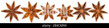 Row set collection of various star anise seasonal christmas ingredient herbs spice decoration  fruit food isolated on white panorama background Stock Photo
