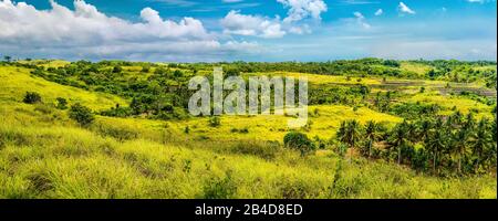 Palm Oasis in Wisata Bukit Teletubbies Hill, Nusa Penida Island, Bali, Indonesia. Stock Photo