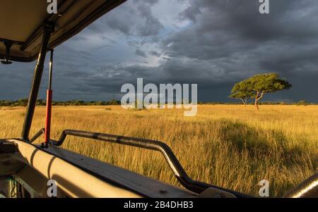 Tanzania, Northern Tanzania, Serengeti National Park, Ngorongoro Crater, Tarangire, Arusha and Lake Manyara, Jeep safari in thunderstorm mood Stock Photo