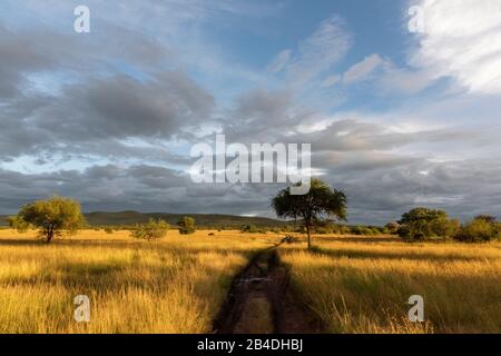 Tanzania, Northern Tanzania, Serengeti National Park, Ngorongoro Crater, Tarangire, Arusha and Lake Manyara, thunderstorm mood