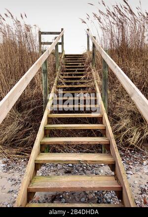 Treppe, Als, Alsen, Insel, Landschaft, Dänemark Stock Photo