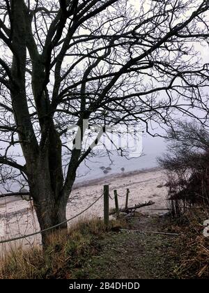 Als, Alsen, Insel, Landschaft, Strand, Dänemark Stock Photo