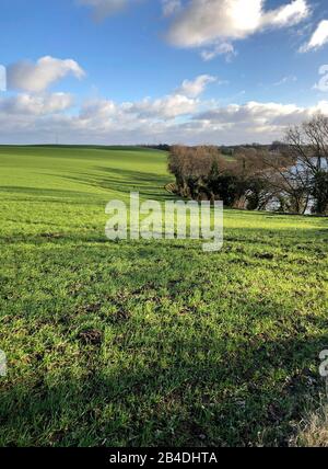 Als, Alsen, Insel, Landschaft, Dänemark Stock Photo